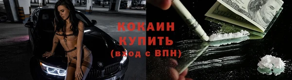 apvp Белокуриха