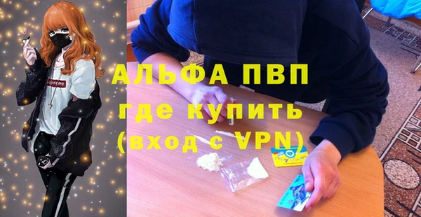 apvp Белокуриха