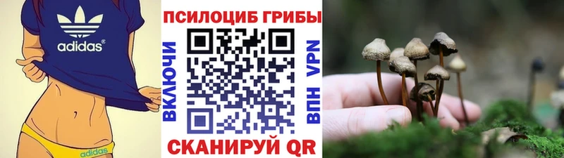 Галлюциногенные грибы мухоморы купить наркоту Ершов